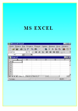 MS Excel